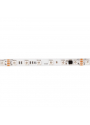 [12W-M DIGITAL RGB  IP20 24V]
