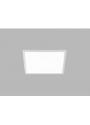 [2182931]