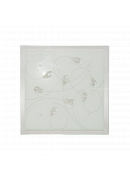 [65106 NS FRONT IKAROS]