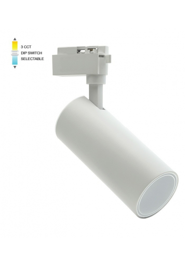 MONOLINO-C30 30W 3CCT WH
