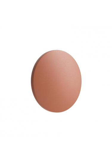 11564