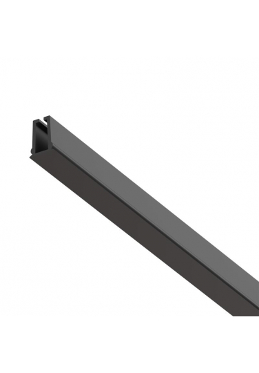12331